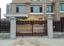 点击查看详细信息<br>标题：铝艺别墅门 阅读次数：1596